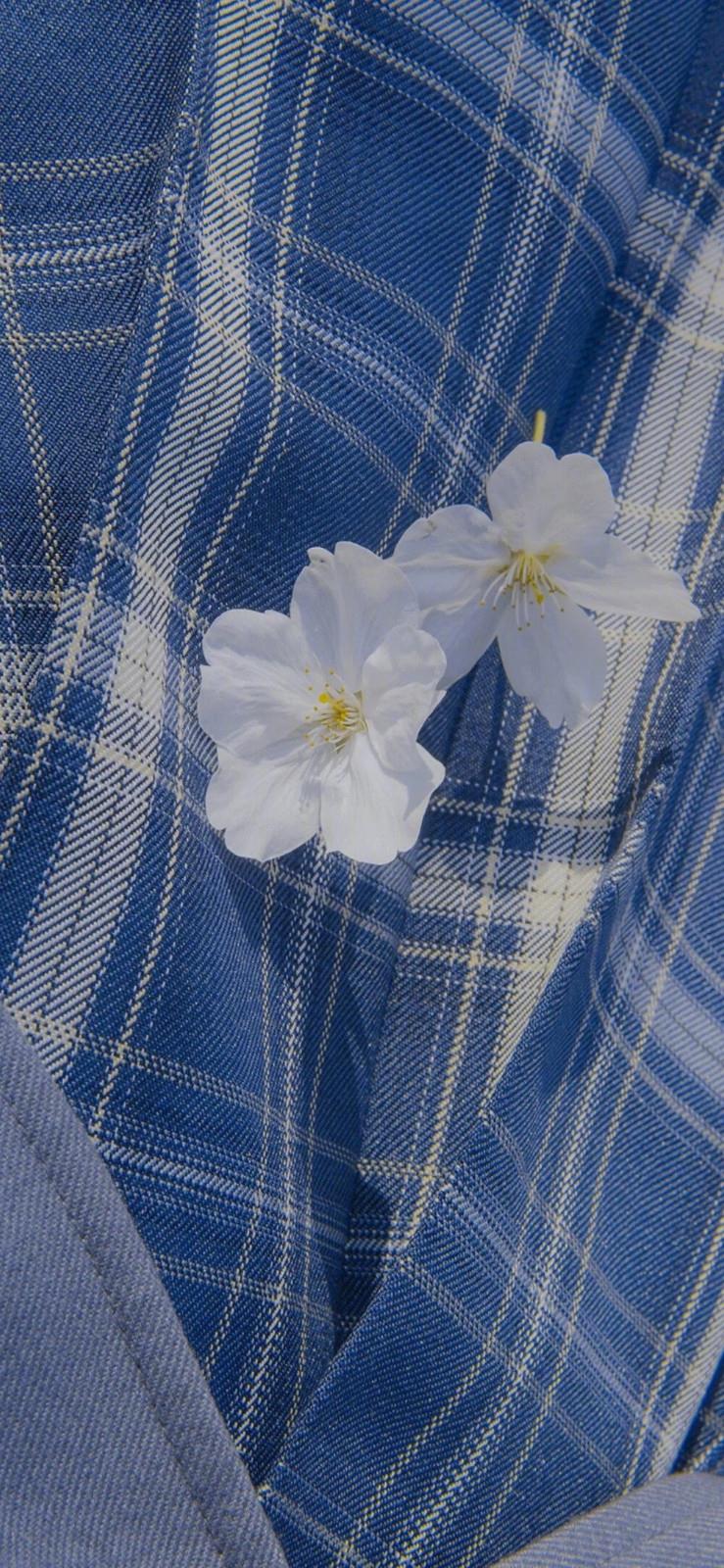 一句话早安短一点/早安一句话