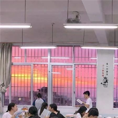 奇网情缘