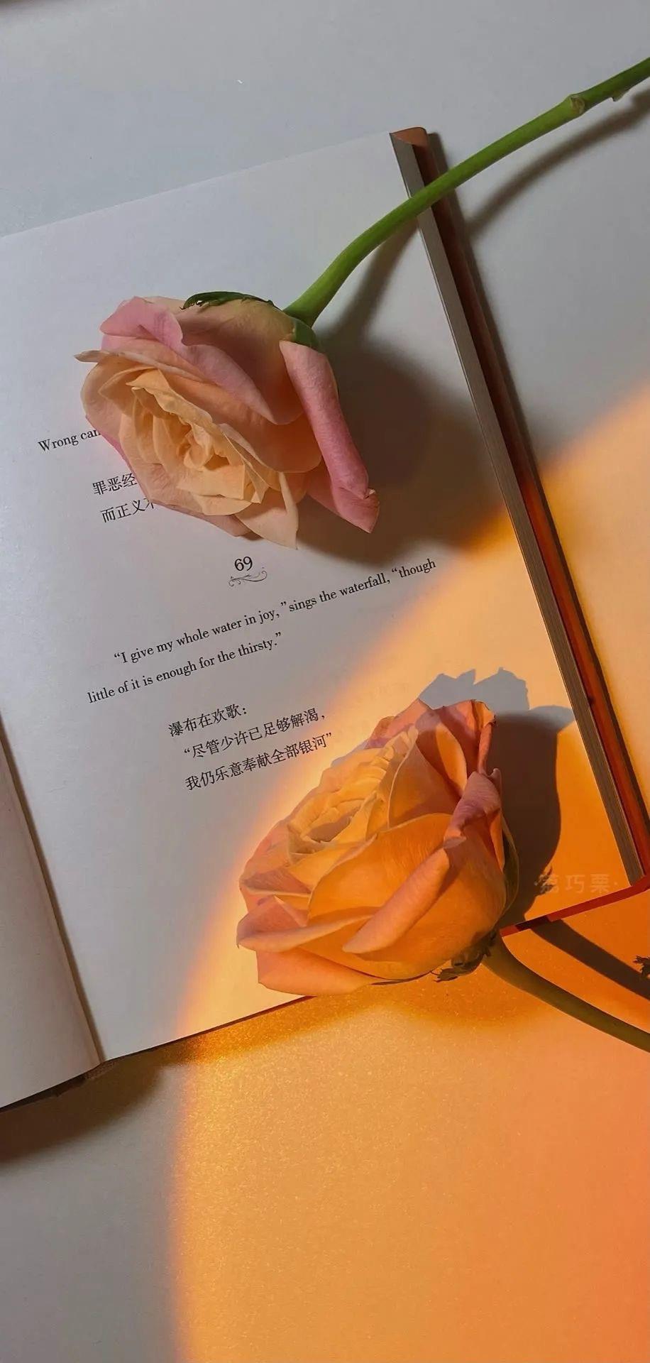 梦中的梦