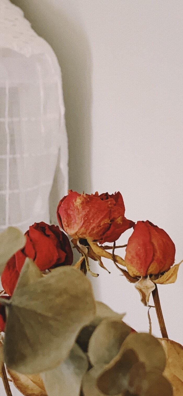 从你1岁到你50岁!最后一句我哭了