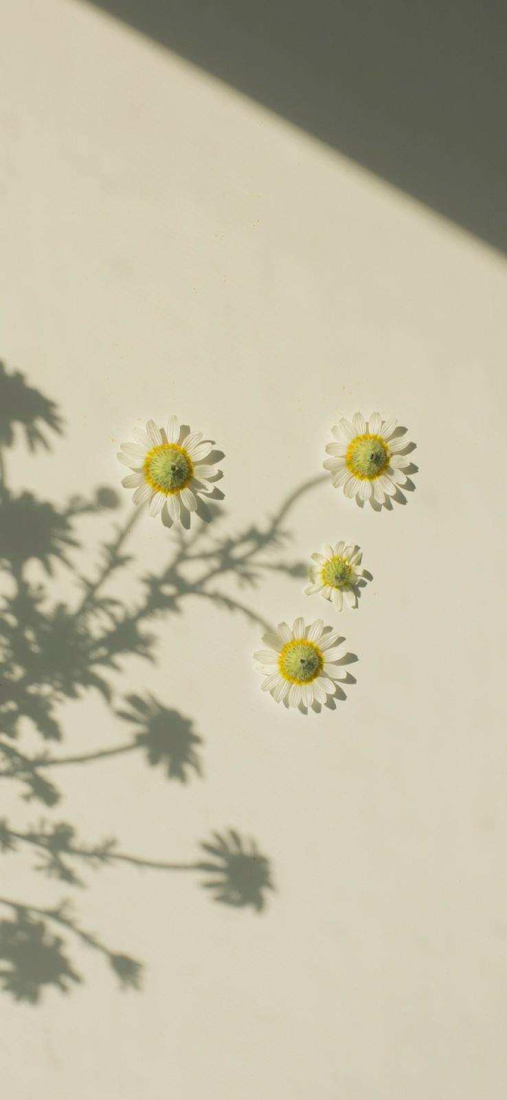 富有哲理的句子100句 哲理句子