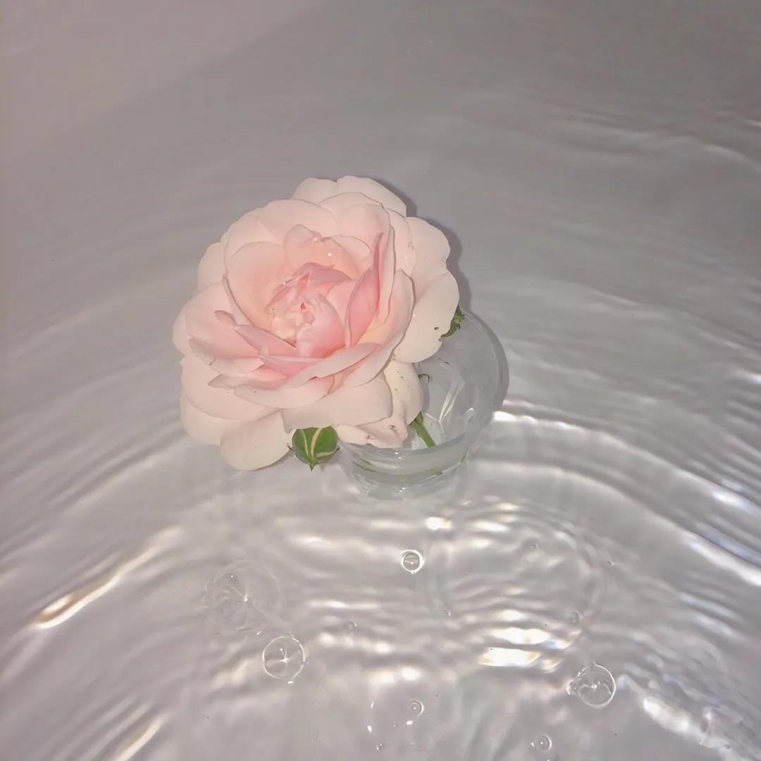 骂人不带脏字的话100句·骂人一句话