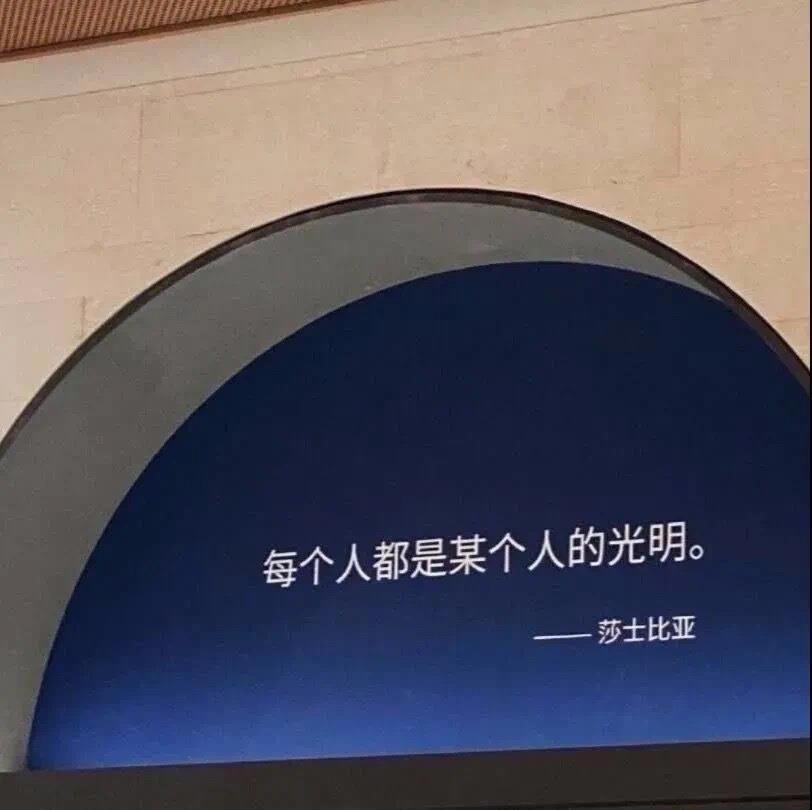 逝去的哀痛，不忘的爱情
