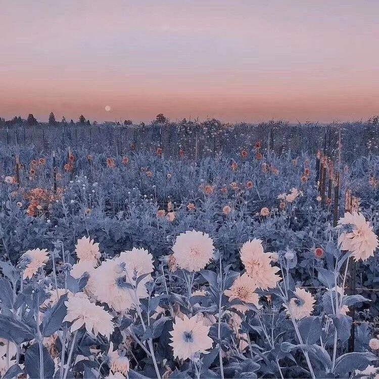 可怕的梦魇