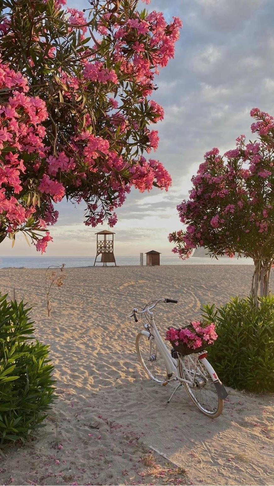 攀高枝儿的后果很严重