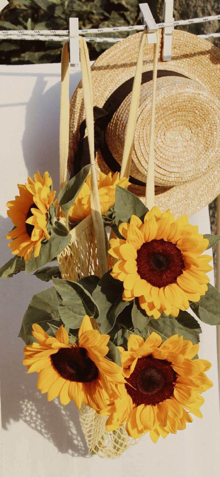 给我绚烂阳光的受伤女人