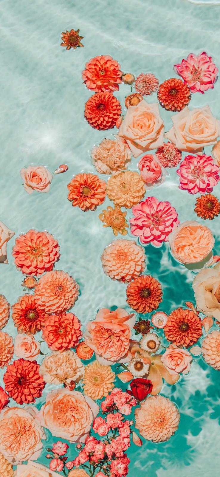 爱过最美年华的你