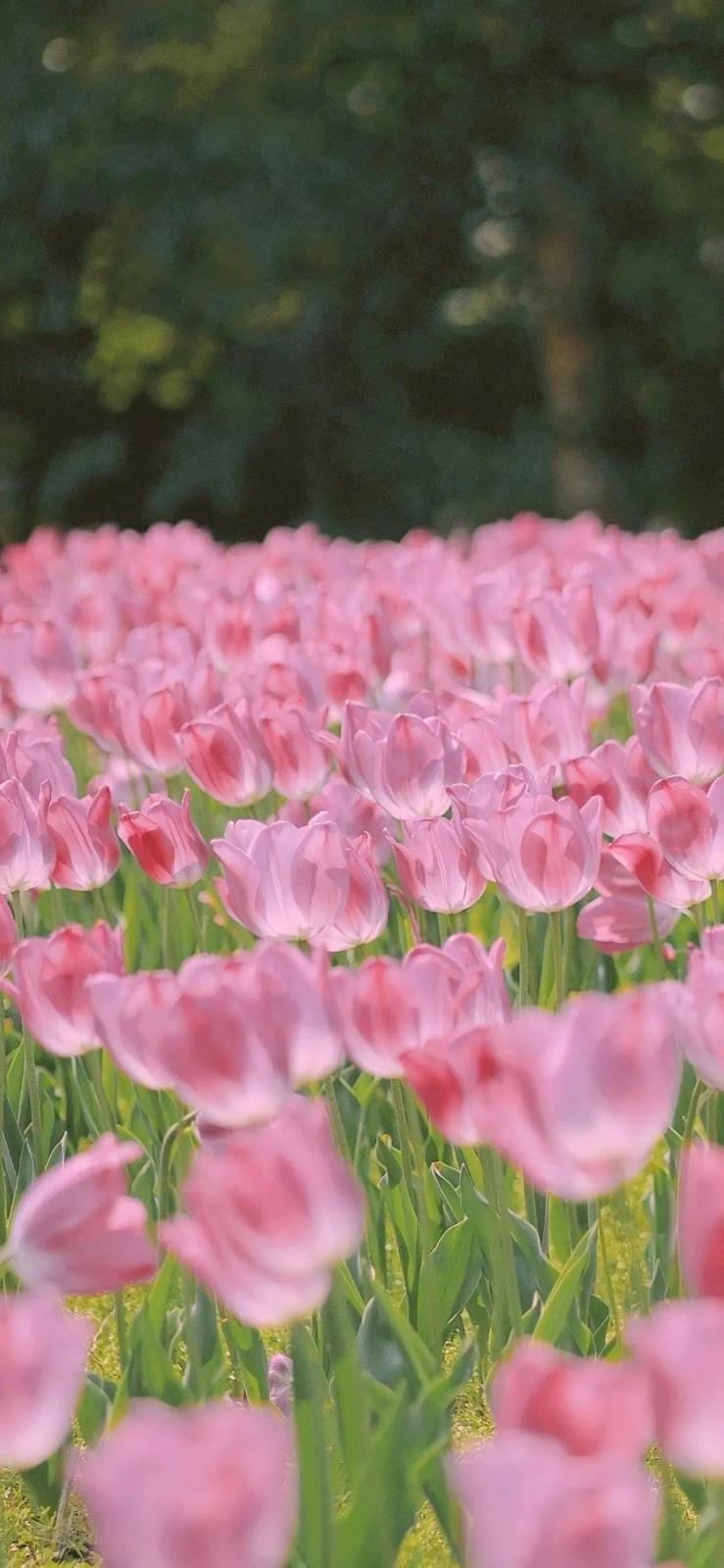 离别的句子表达心情，离别短语