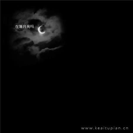 地球村的人生法则