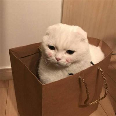 暮韵晨曲