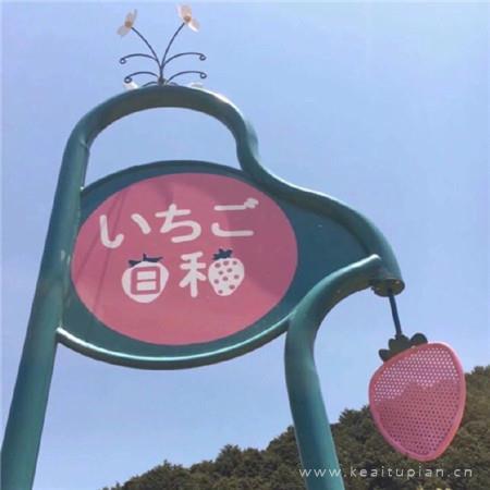 芋头芋头，在一起