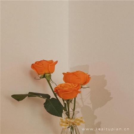 苦,可以折磨人,吃苦,也是一种资本