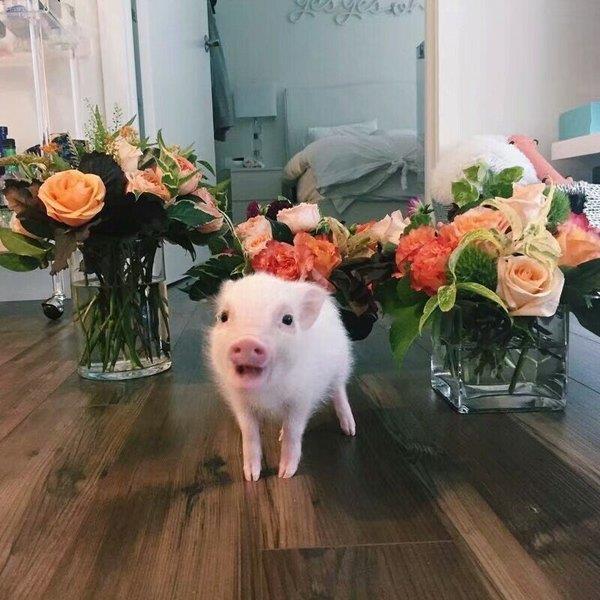 清明节文明祭祀宣传标语口号横幅大全