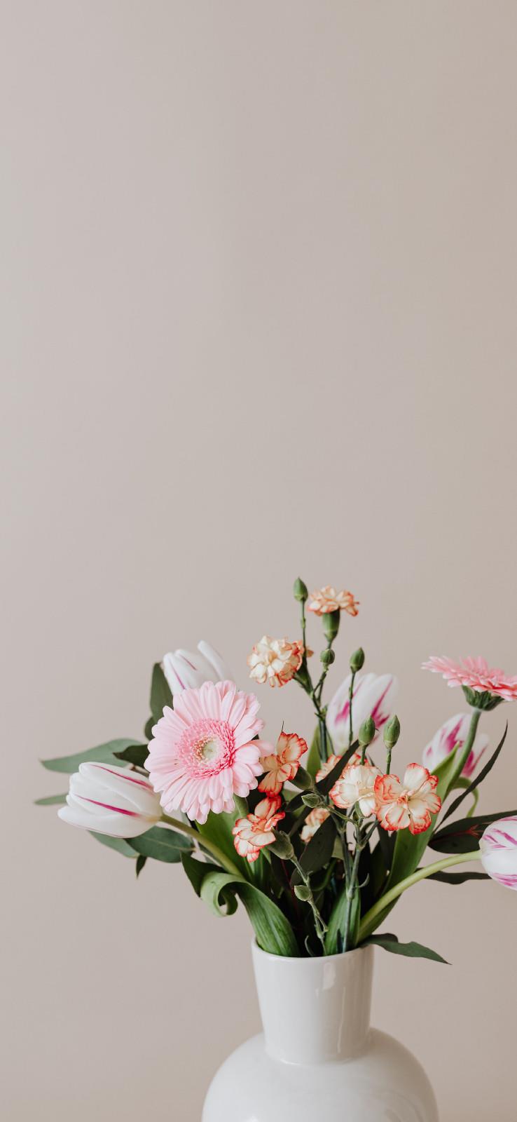 有哲理的一句表达情感的话/哲理句子