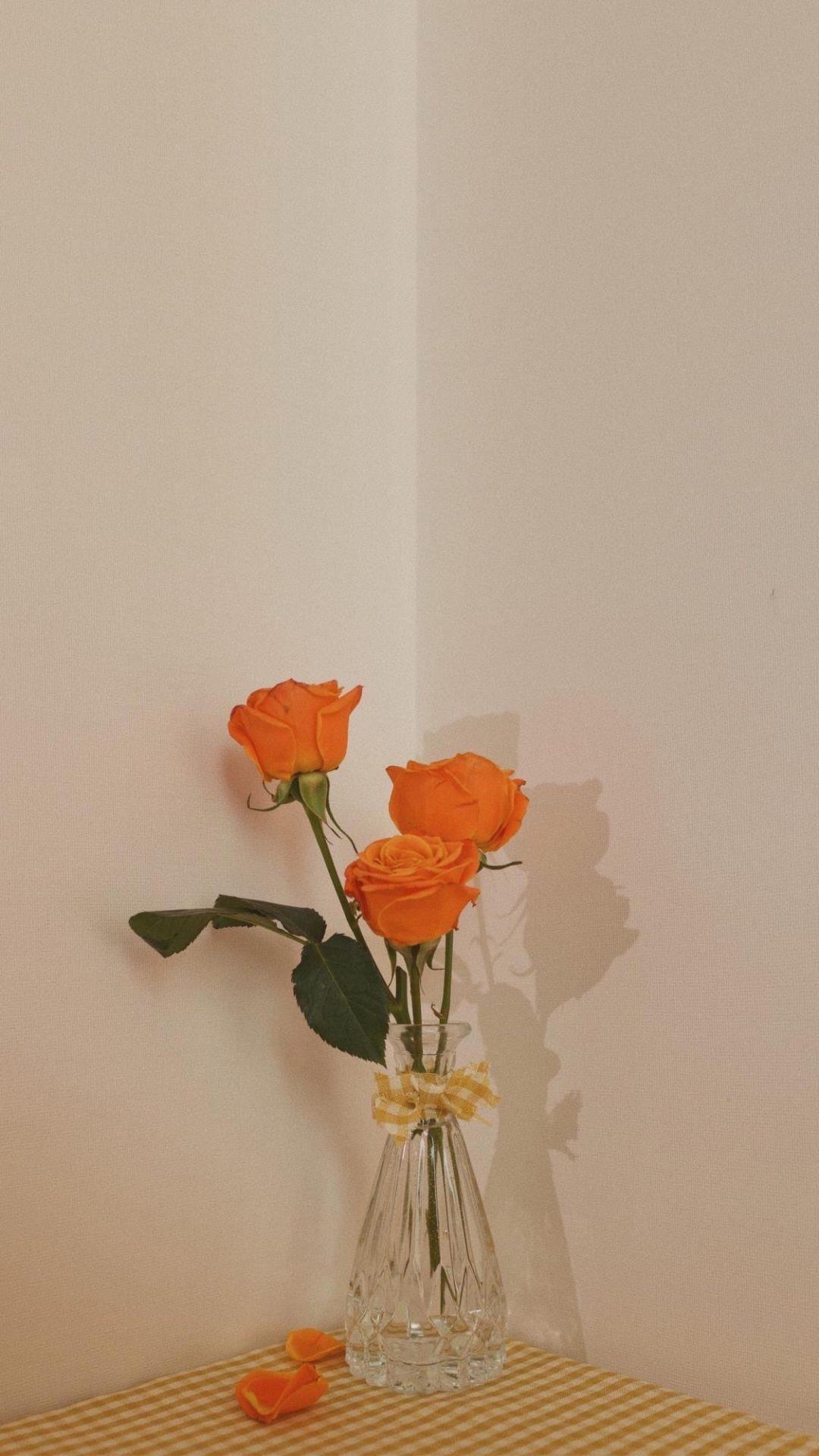 爱情观测试：测试你的爱情观念是怎样的