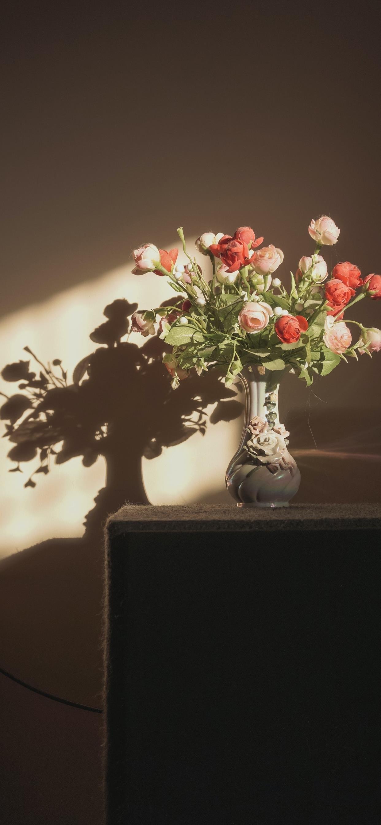 三毛经典人生语录的经典语录