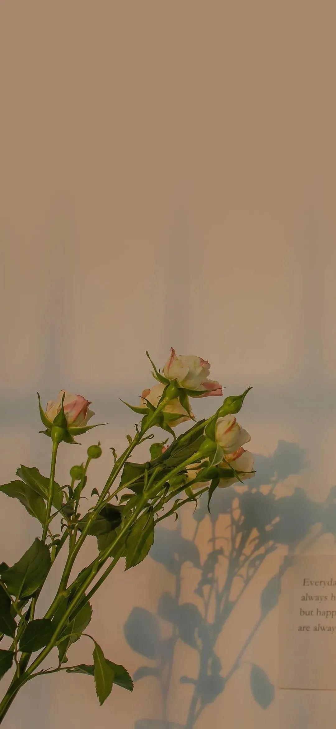 蓝殇，一伤经年