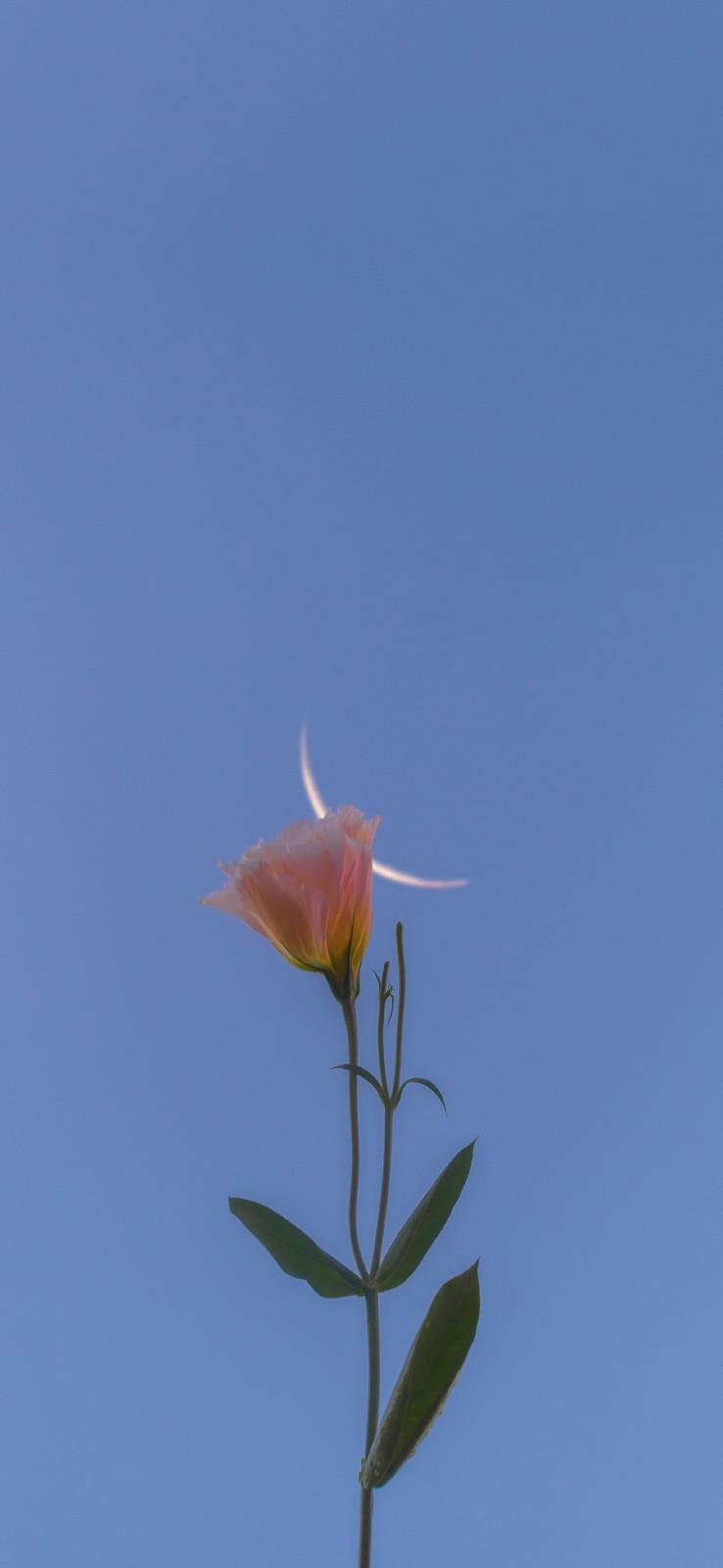 怀念三姑