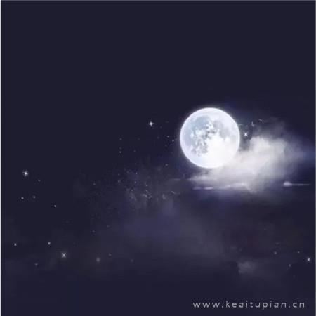 凤姐雷人语录 经典搞笑的语录