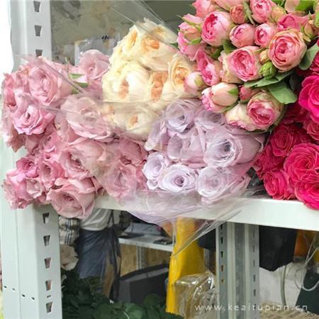 挂在枝头的思念