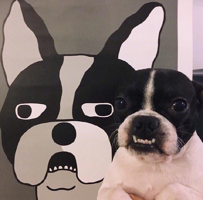 深圳口述史|何沐阳：我在深圳实现音乐梦想