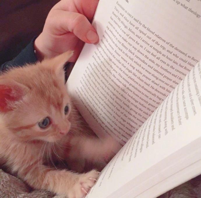 搞笑句子个性签名2021,搞笑句子