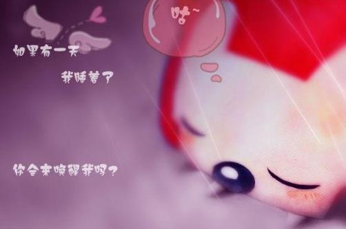 文字里,与你相约