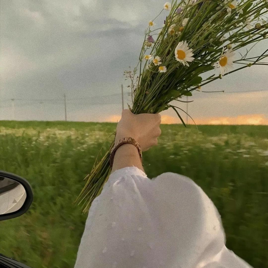 3.12植树节祝福语公益短信暖心问候大全精选