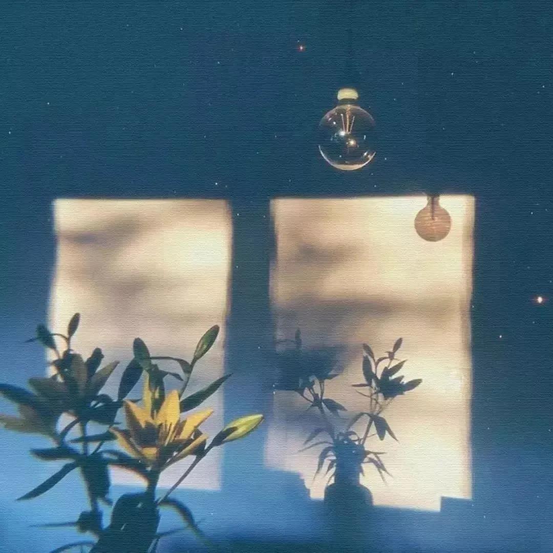 经典美文摘抄:没有人可以永远活在回忆里