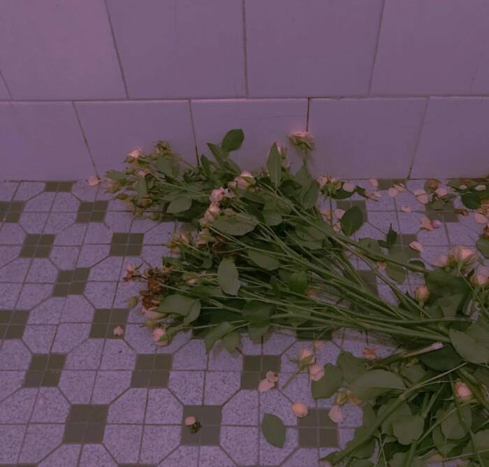 小她21岁，爱她23年