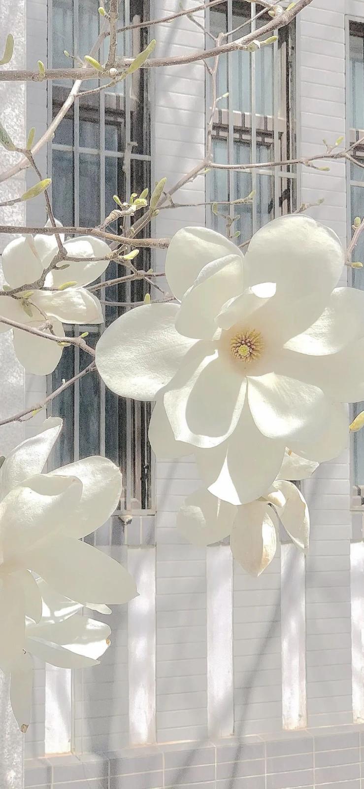 人生道理的短句子大全❤人生短句