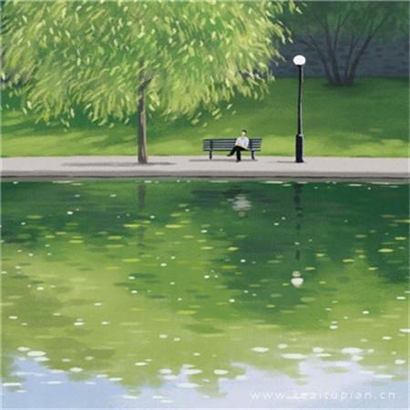 圆盘甲虫的悲剧
