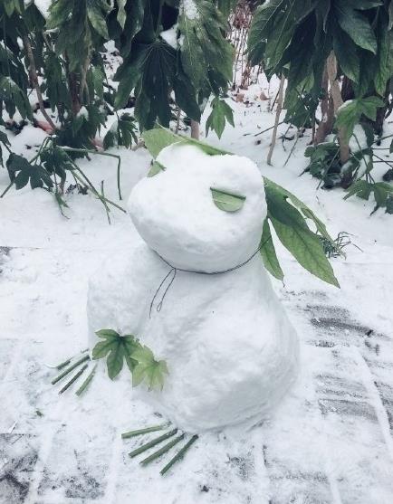 倒脚老太太