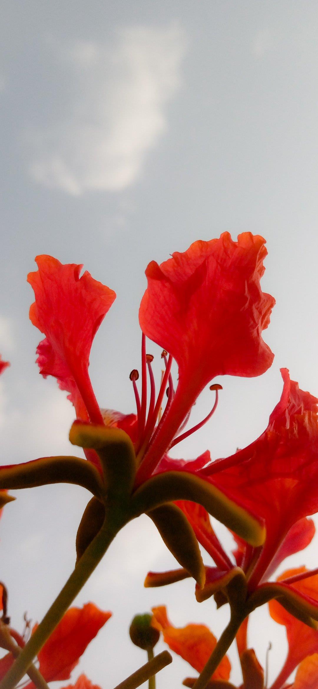 许舜英经典语录名人经典语录