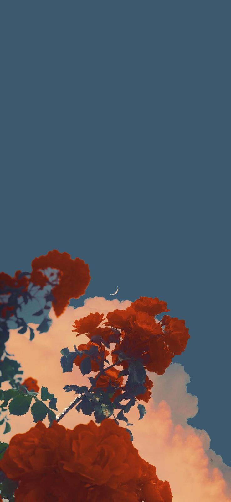 把初吻给了离别