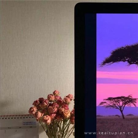 出了车祸的旅游车