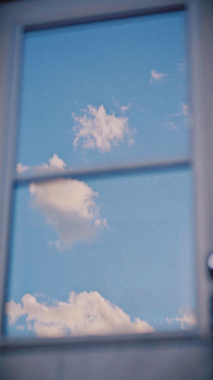 我弄丢了自己的苹果和阳光