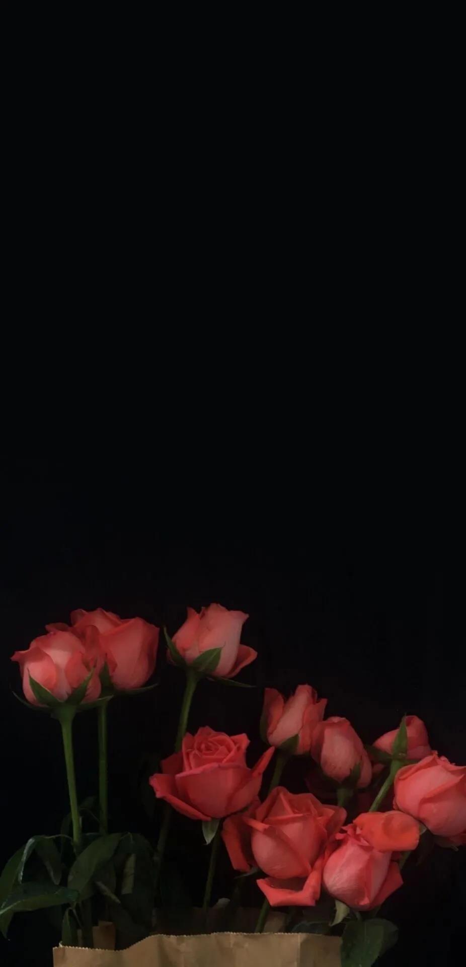 他们的人生感悟：句句深入人心