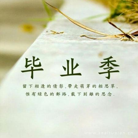 往事不可追，淡忘的记忆