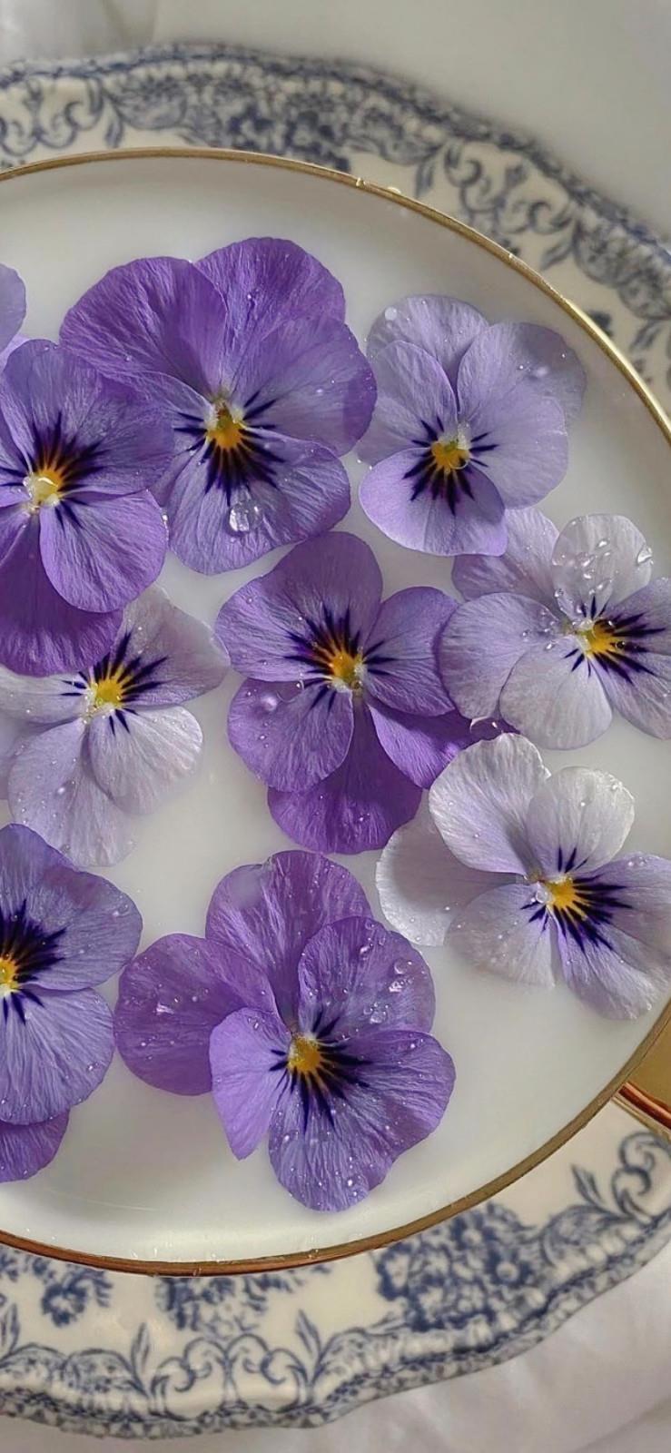 宝贝儿你已经湿透了 夫妇野外交换全过程