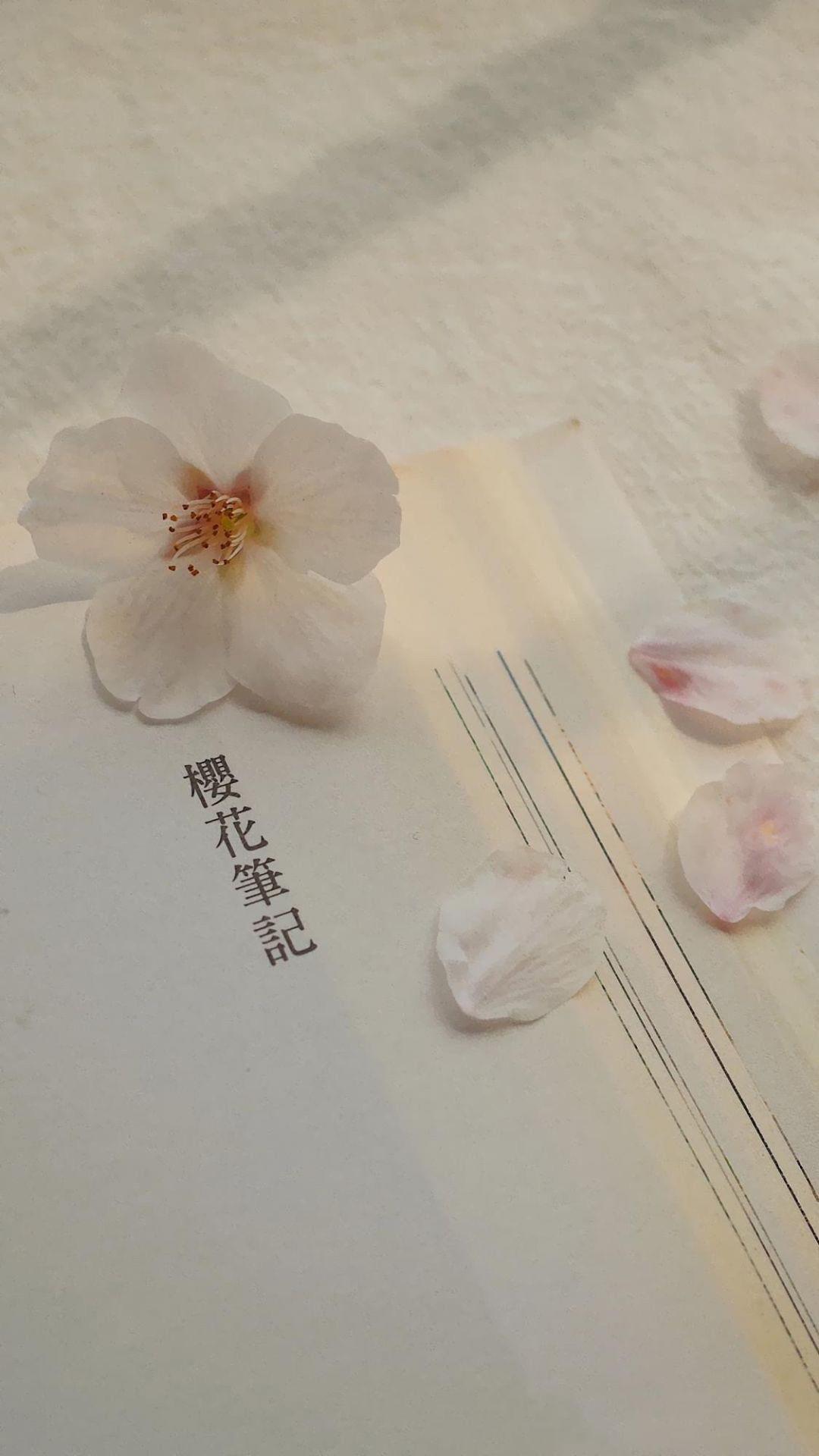 当时明月