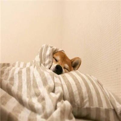 感恩母爱拿什么回报