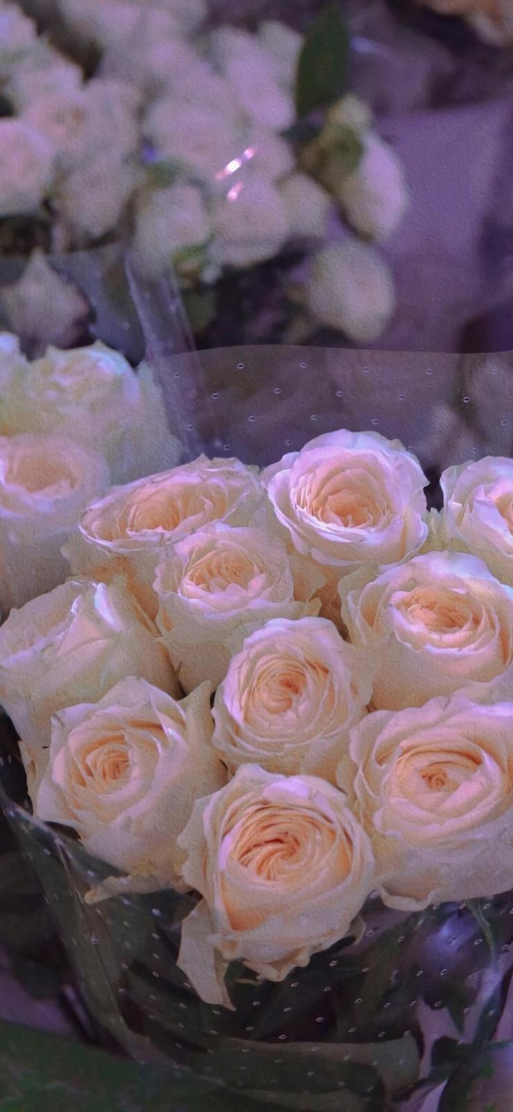 为什么善良的人一生痛苦磨难多