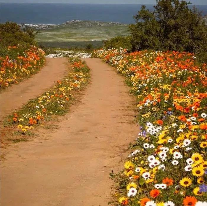 从紧窄的蜜道中缓缓退出 我和漂亮岳的肉欲小说