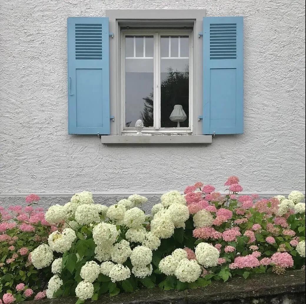 表达心情的情感语录100句：情感一句话