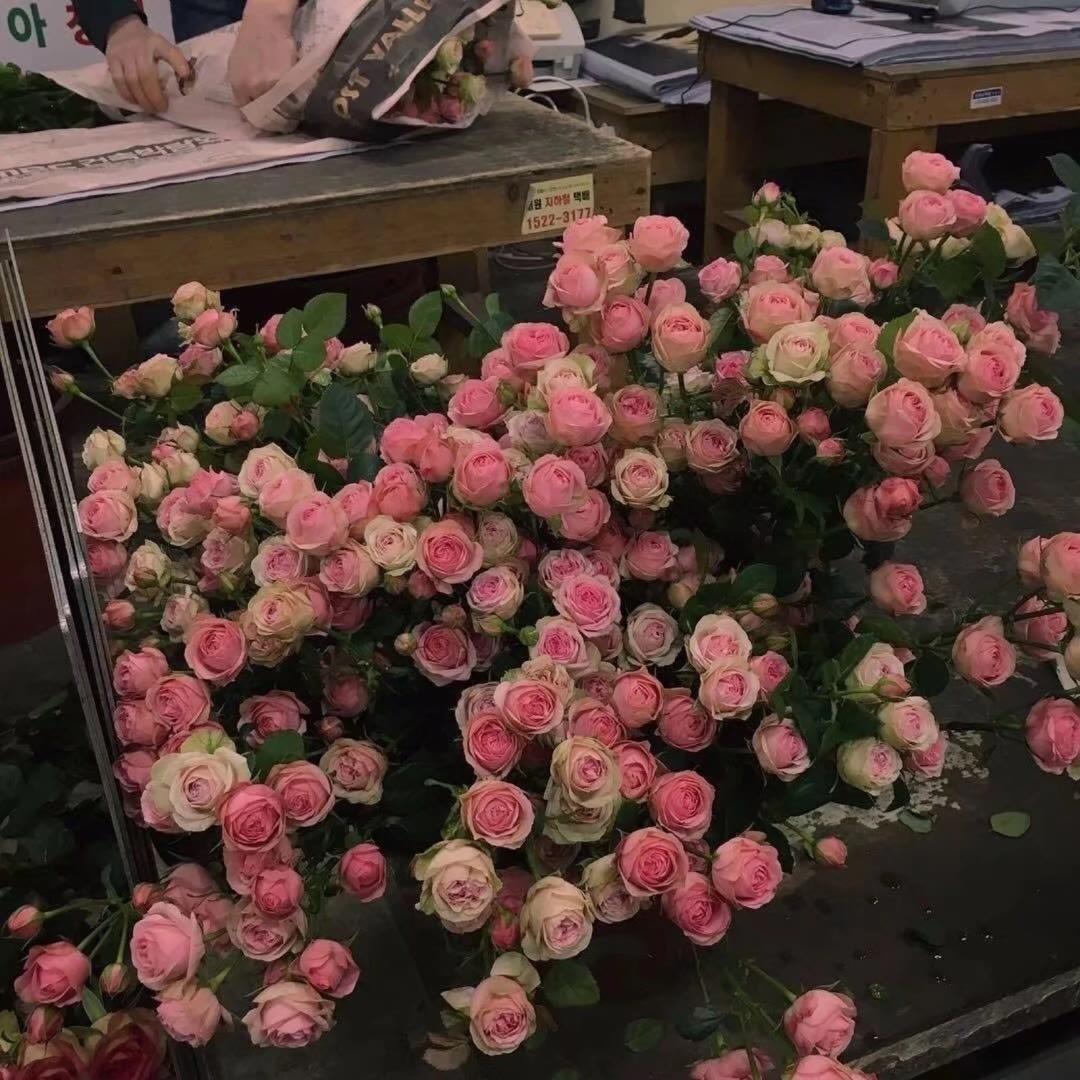 人生成长处世之道哲理