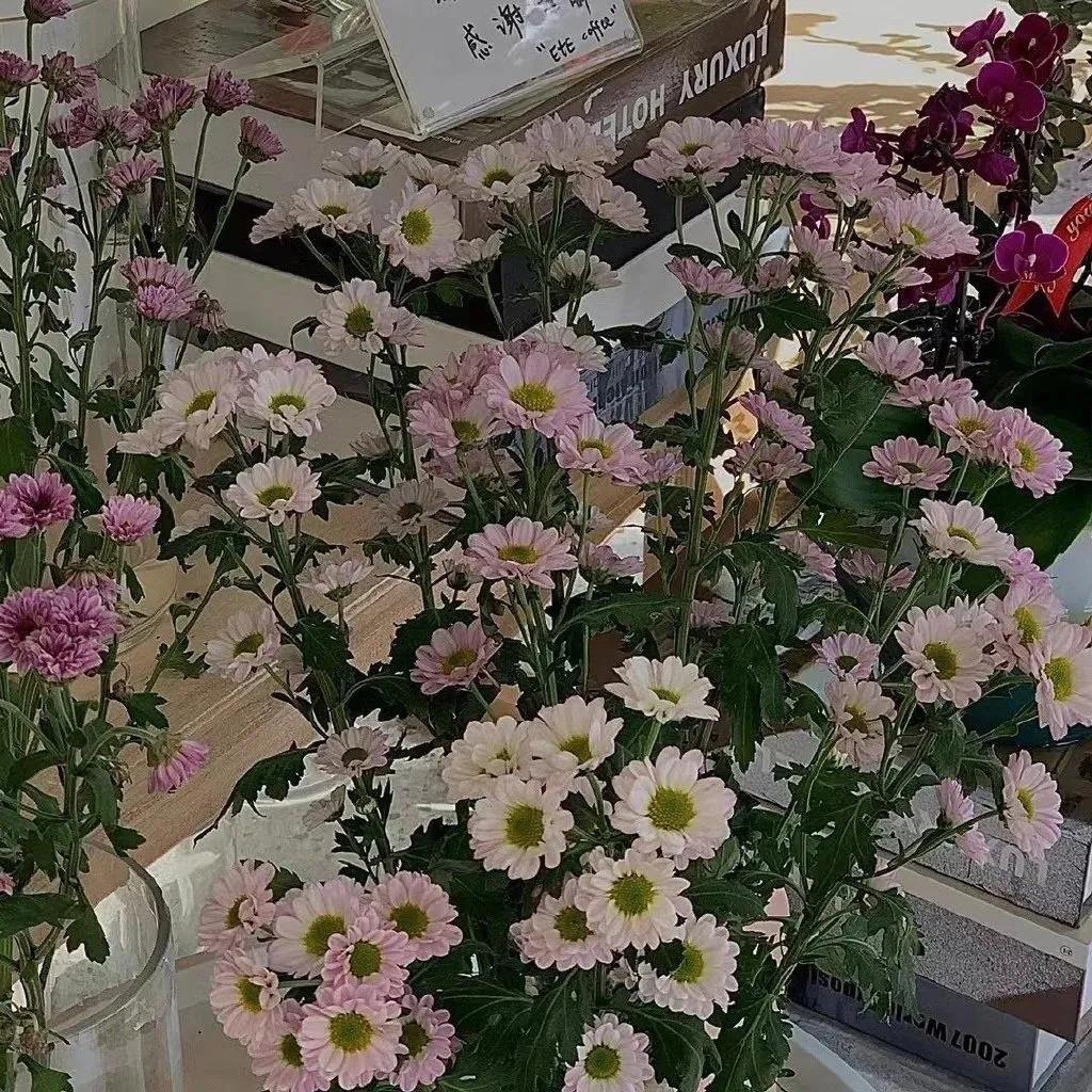 非常有哲理的话，经典人生哲理句子