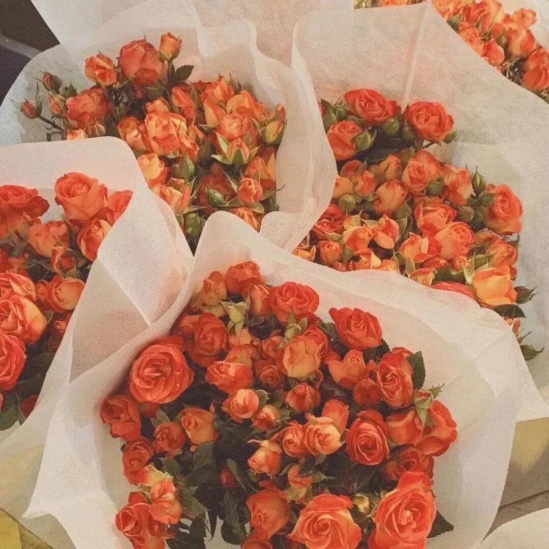 一种习惯一种人生