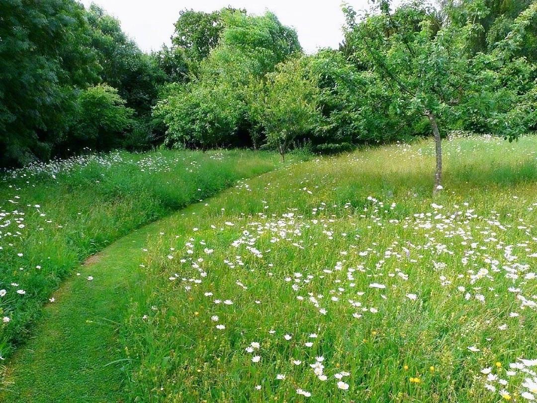 热爱祖国的名言诗句，热爱民族的名人名言