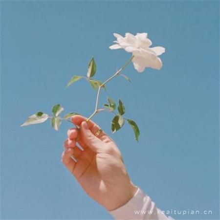 我的女鬼室友